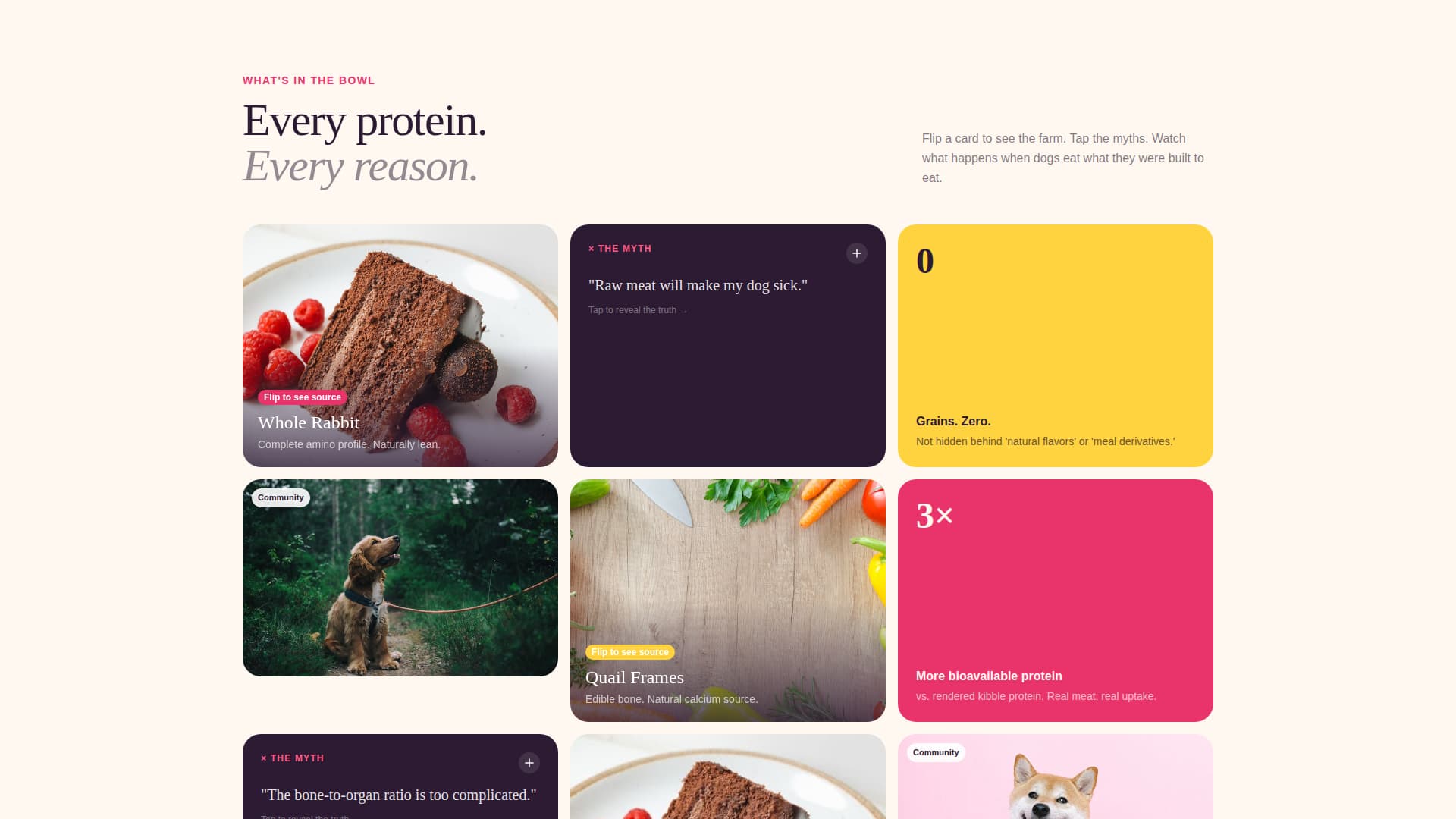Kibble - Fresh Rawfood Landing Page Template