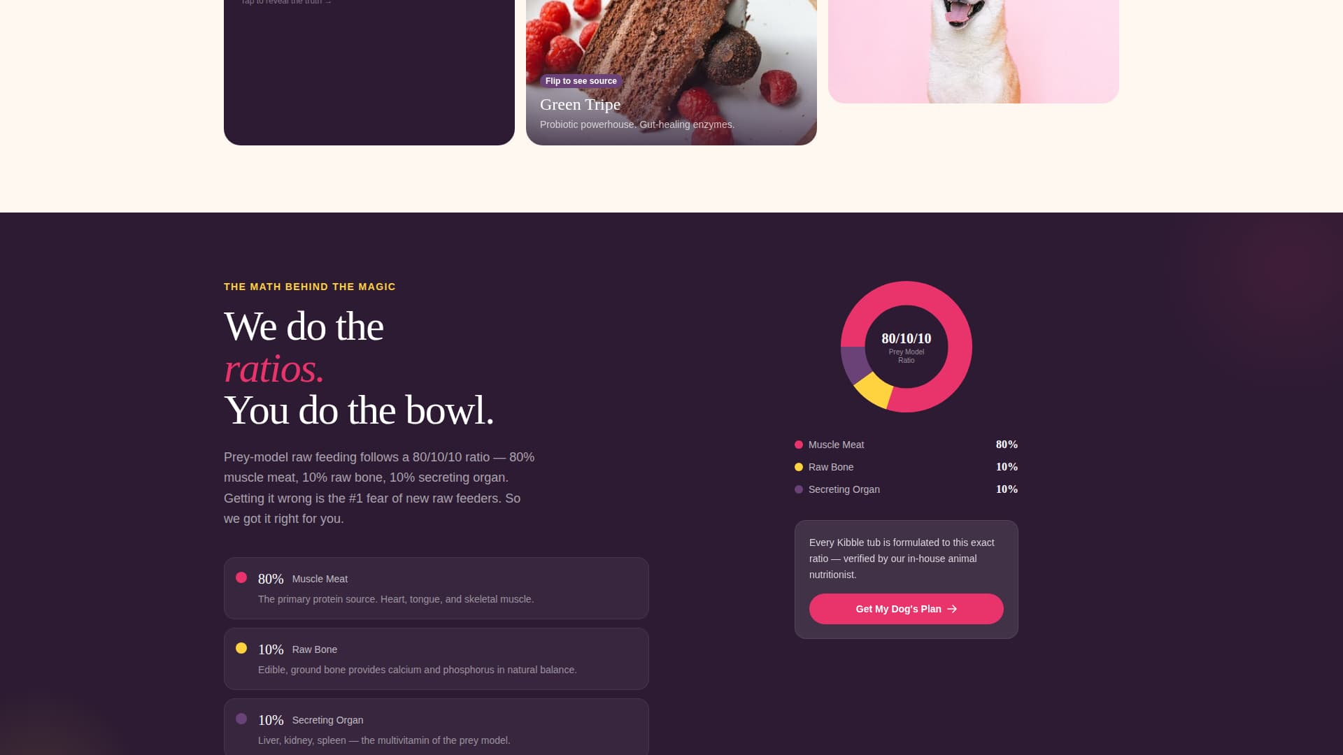 Kibble - Fresh Rawfood Landing Page Template