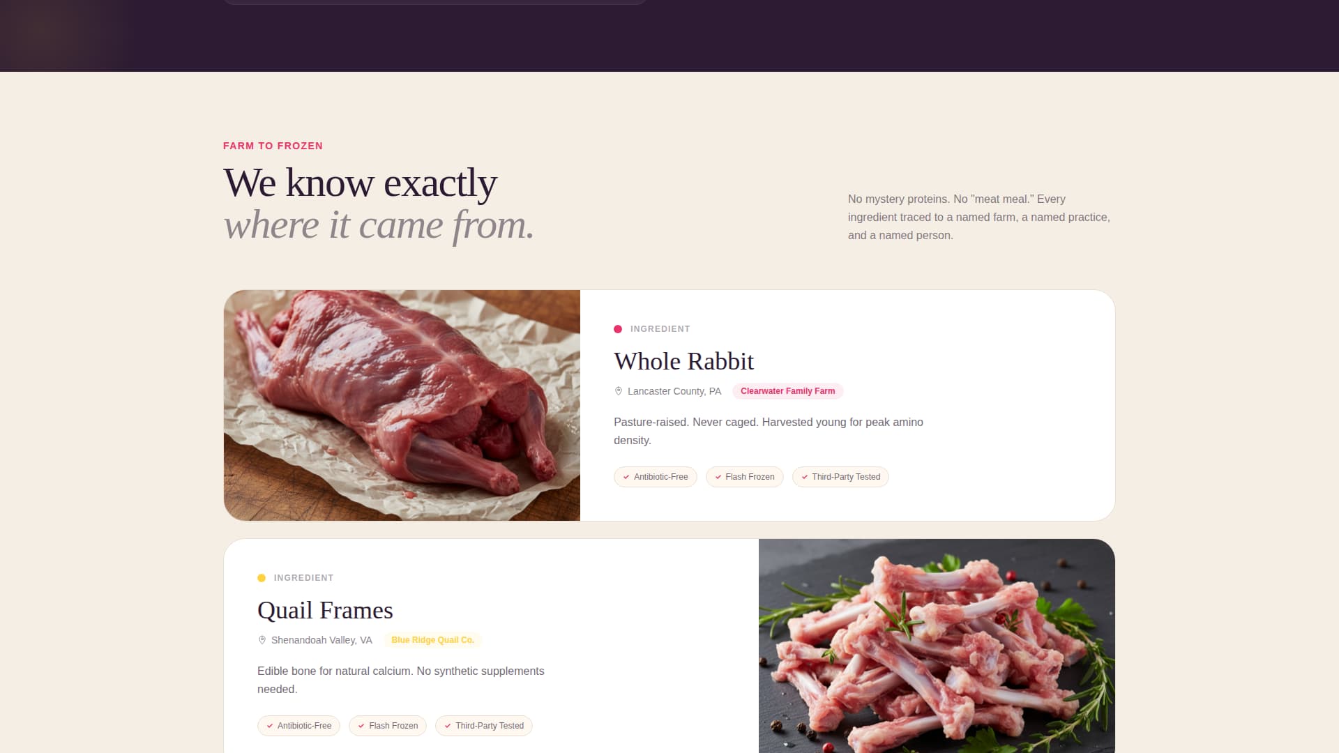 Kibble - Fresh Rawfood Landing Page Template