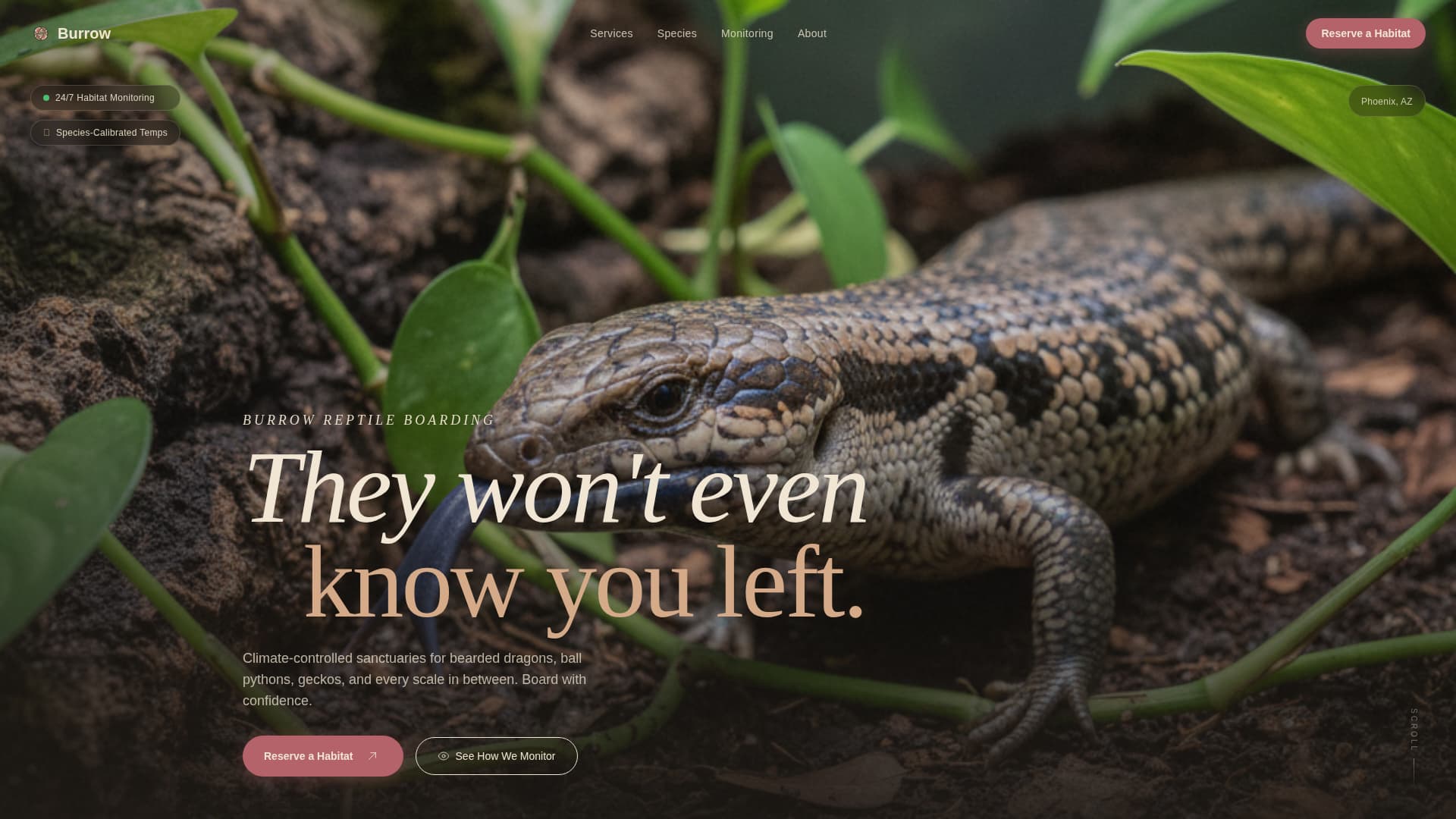 Burrow - Trusted Reptileboarding Landing Page Template