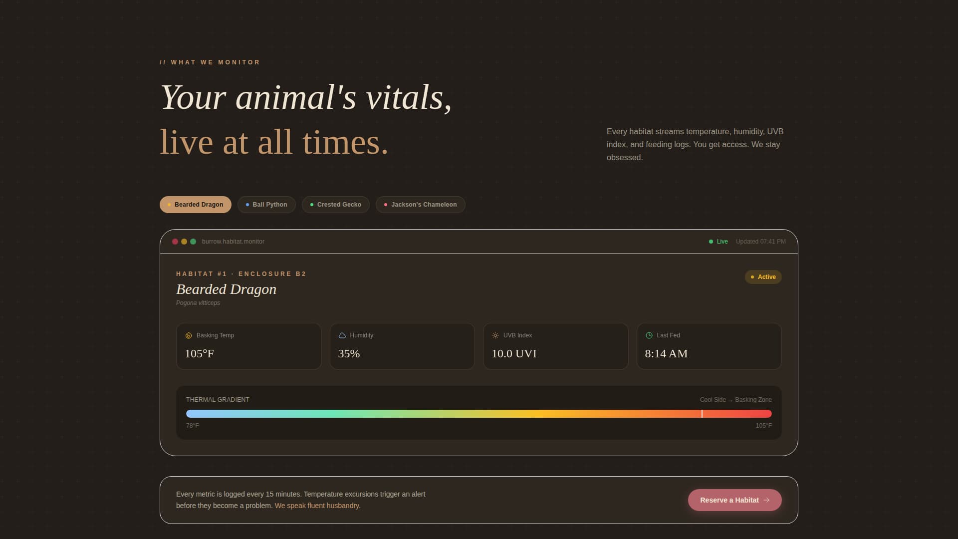Burrow - Trusted Reptileboarding Landing Page Template