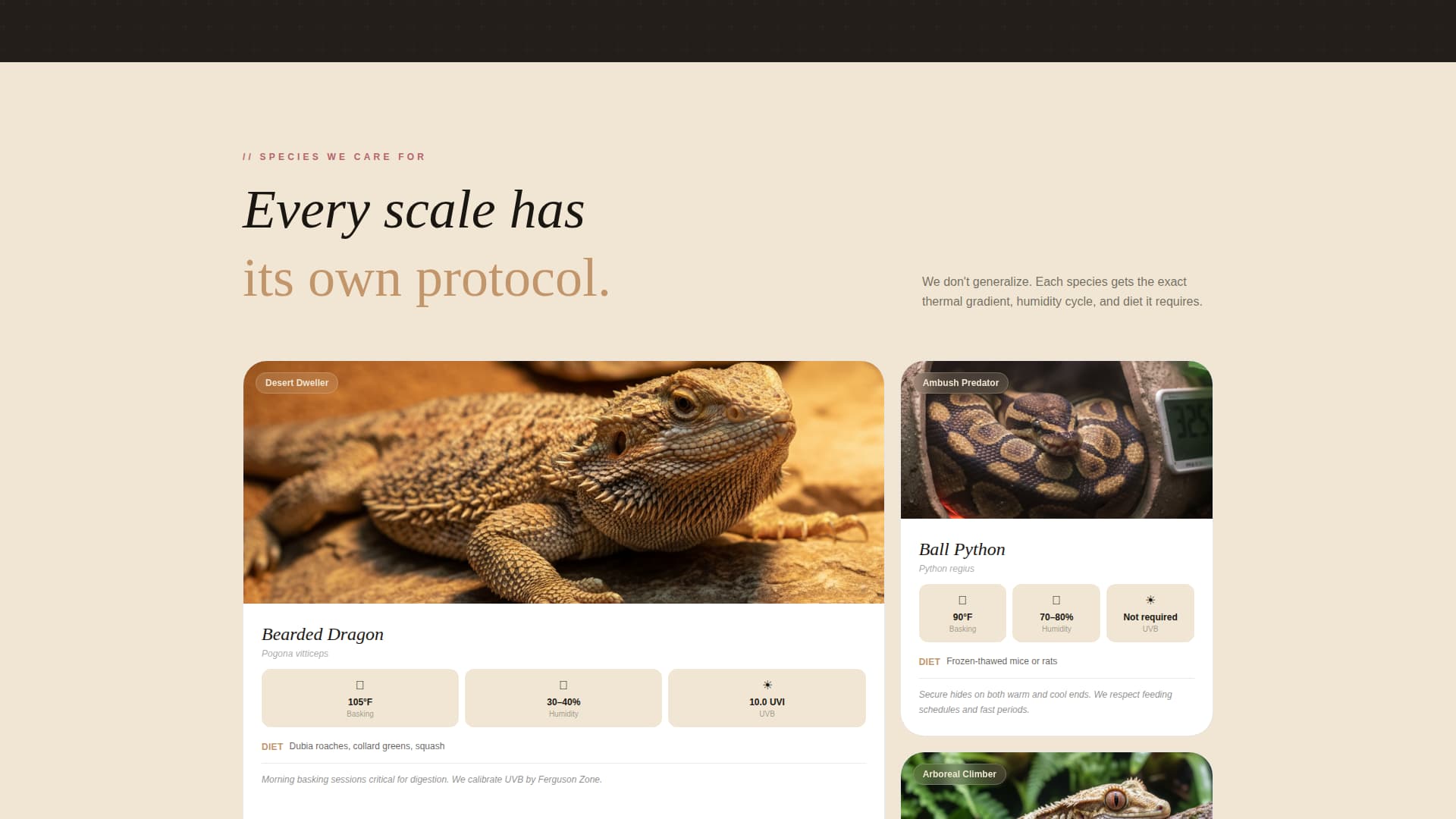 Burrow - Trusted Reptileboarding Landing Page Template