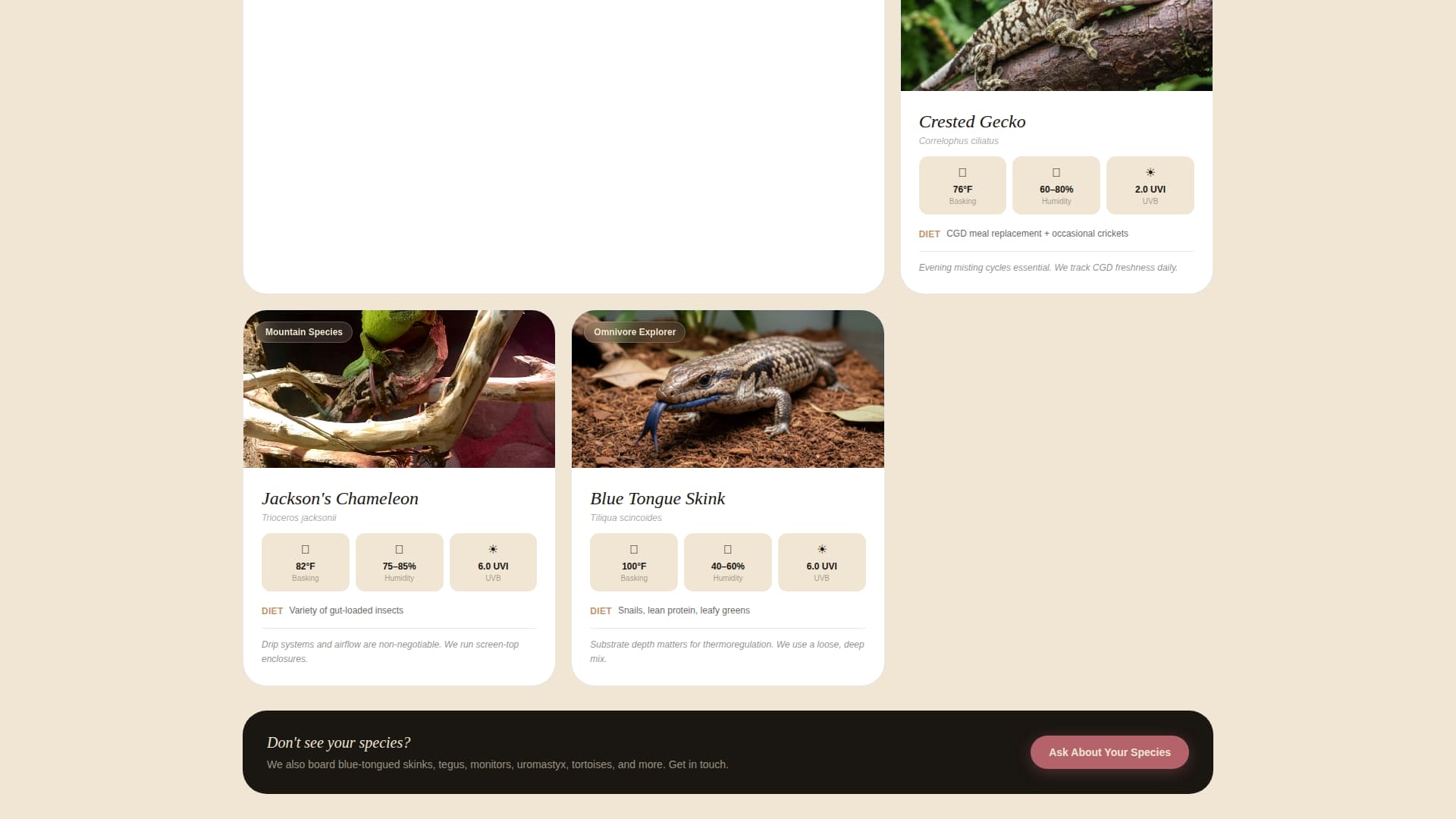 Burrow - Trusted Reptileboarding Landing Page Template