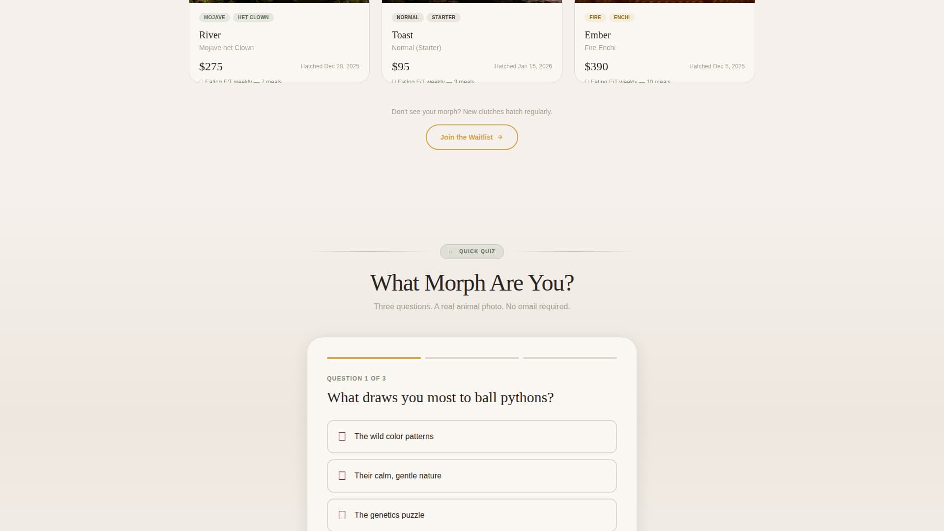 Clutch - Warm Reptilebreeder Landing Page Template