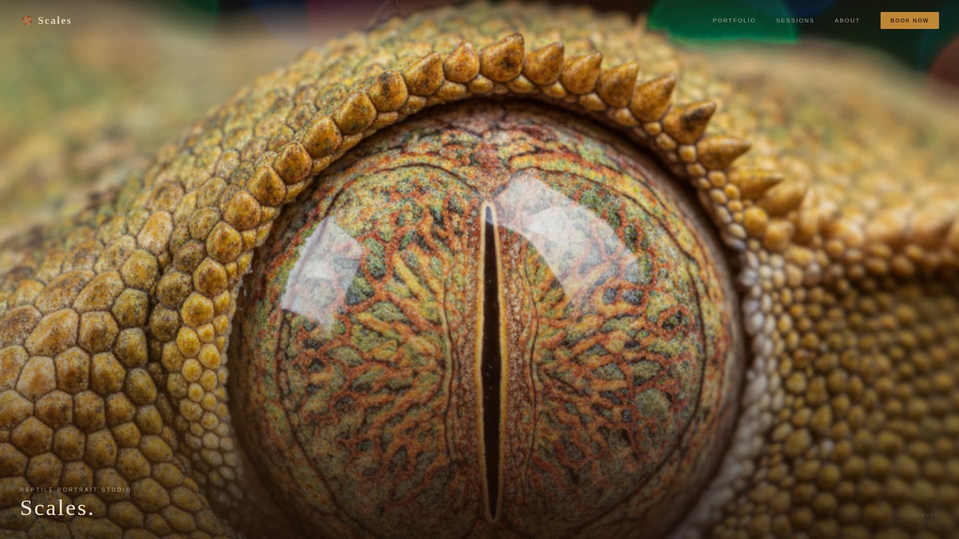 Scales - Captivating Reptile Landing Page Template