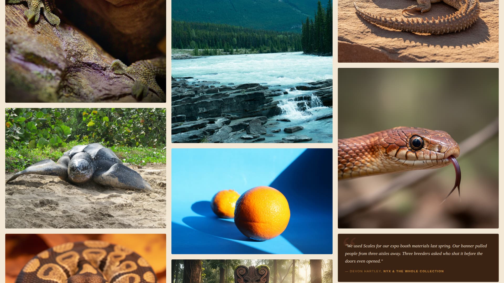 Scales - Captivating Reptile Landing Page Template