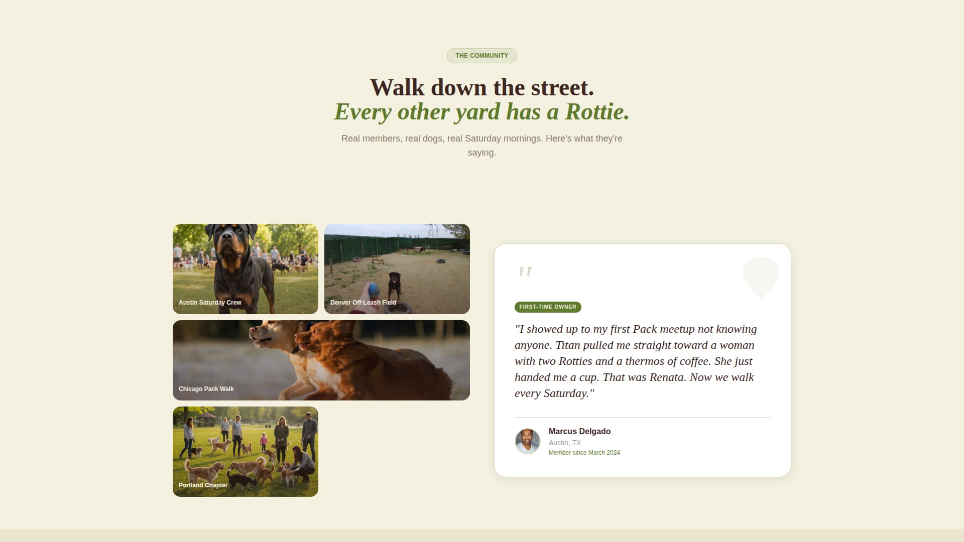 Pack - Rooted Rottweiler Landing Page Template