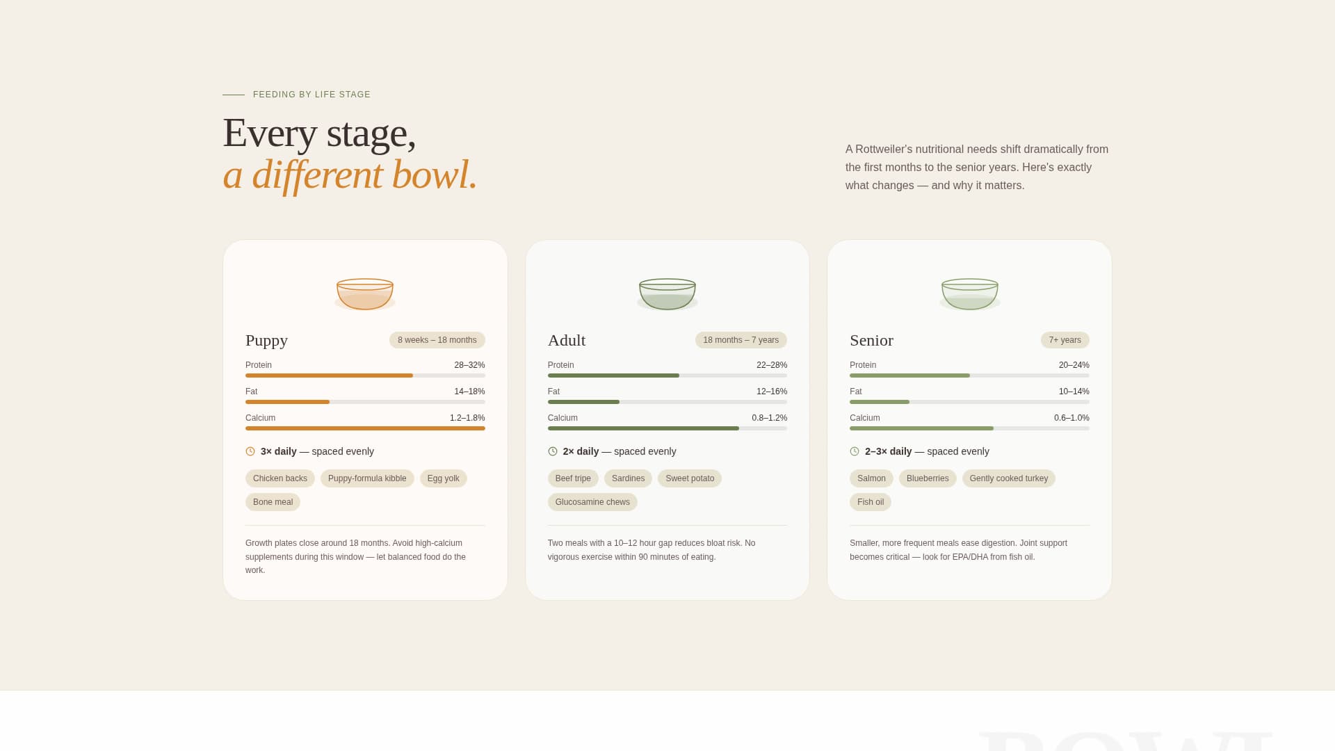 Rottweiler - Premium Diet Landing Page Template