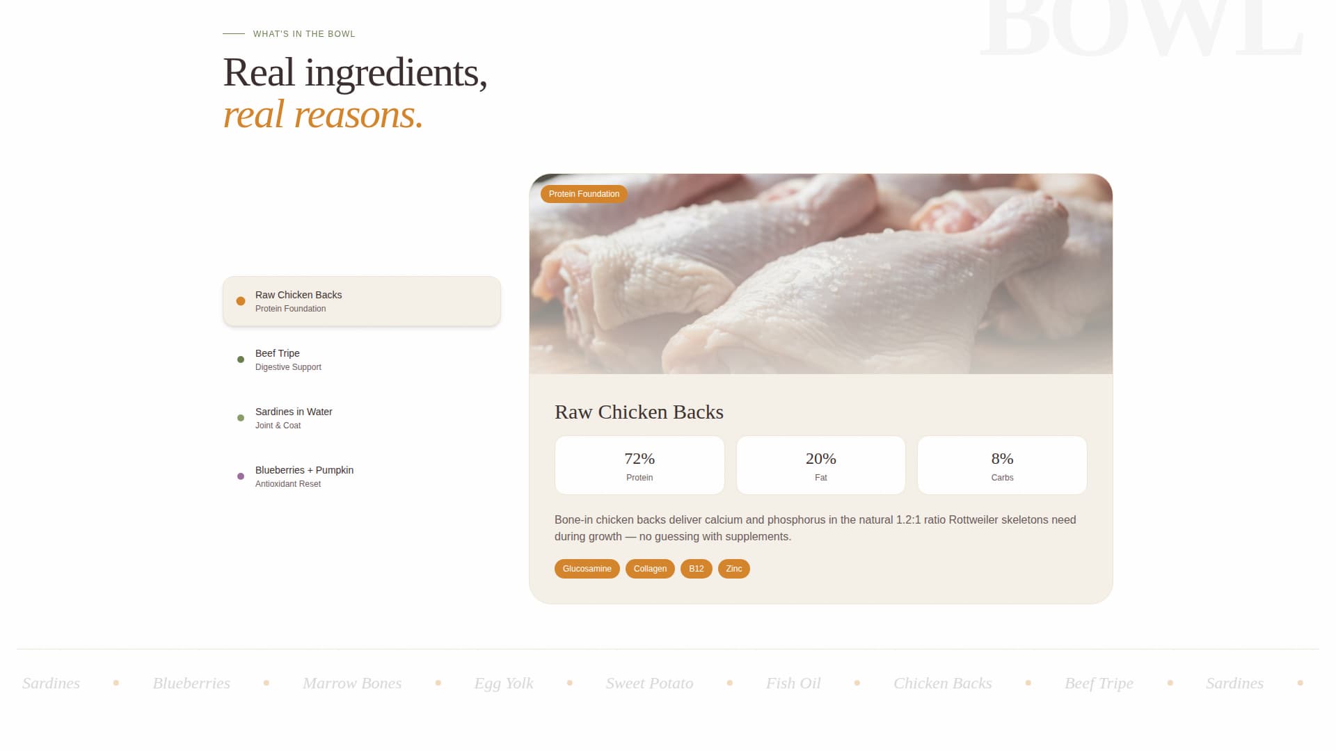 Rottweiler - Premium Diet Landing Page Template