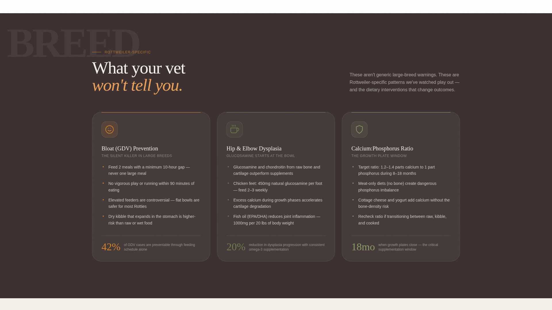 Rottweiler - Premium Diet Landing Page Template