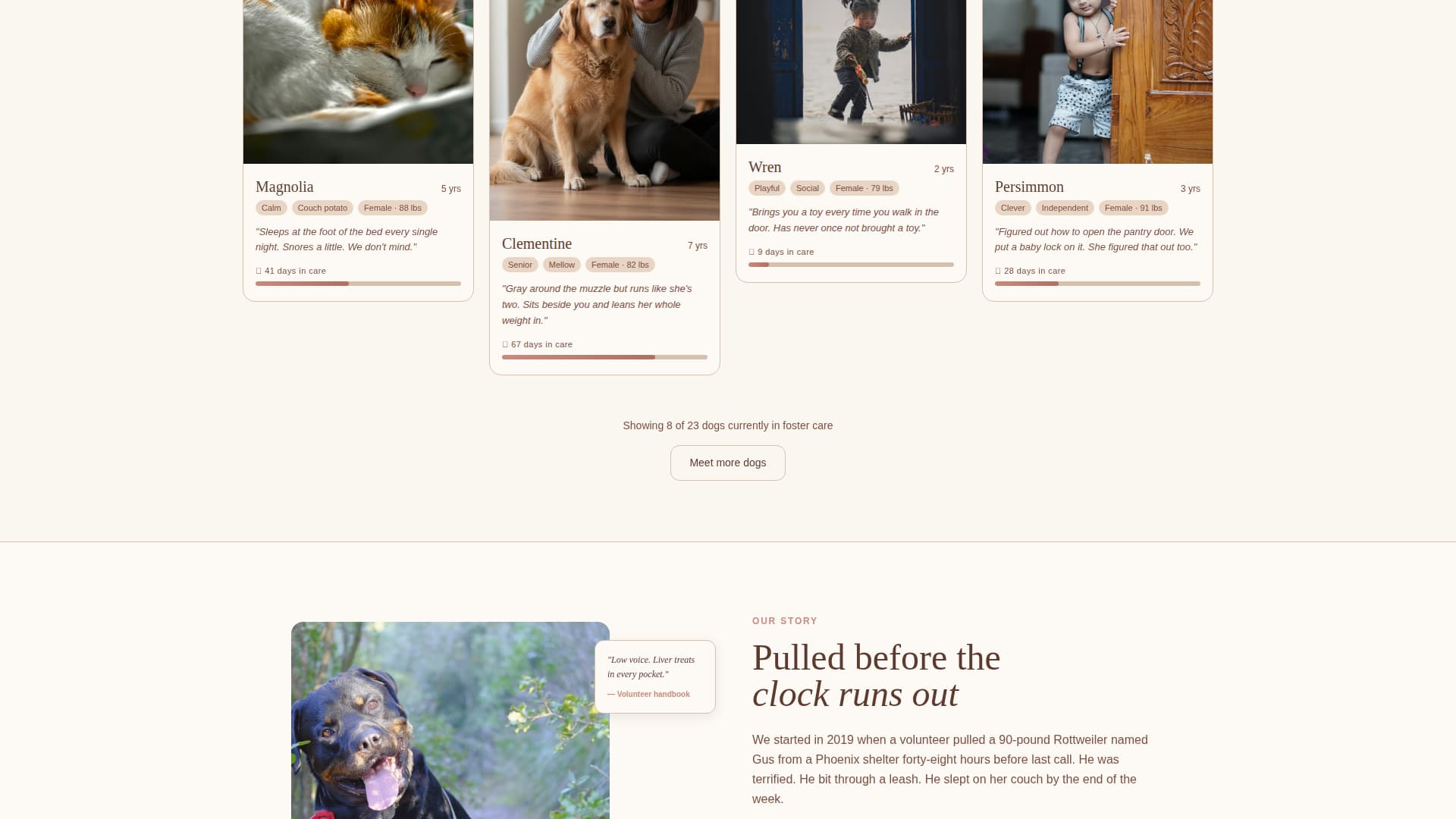 Rescuerottie - Heartfelt Adoption Landing Page Template