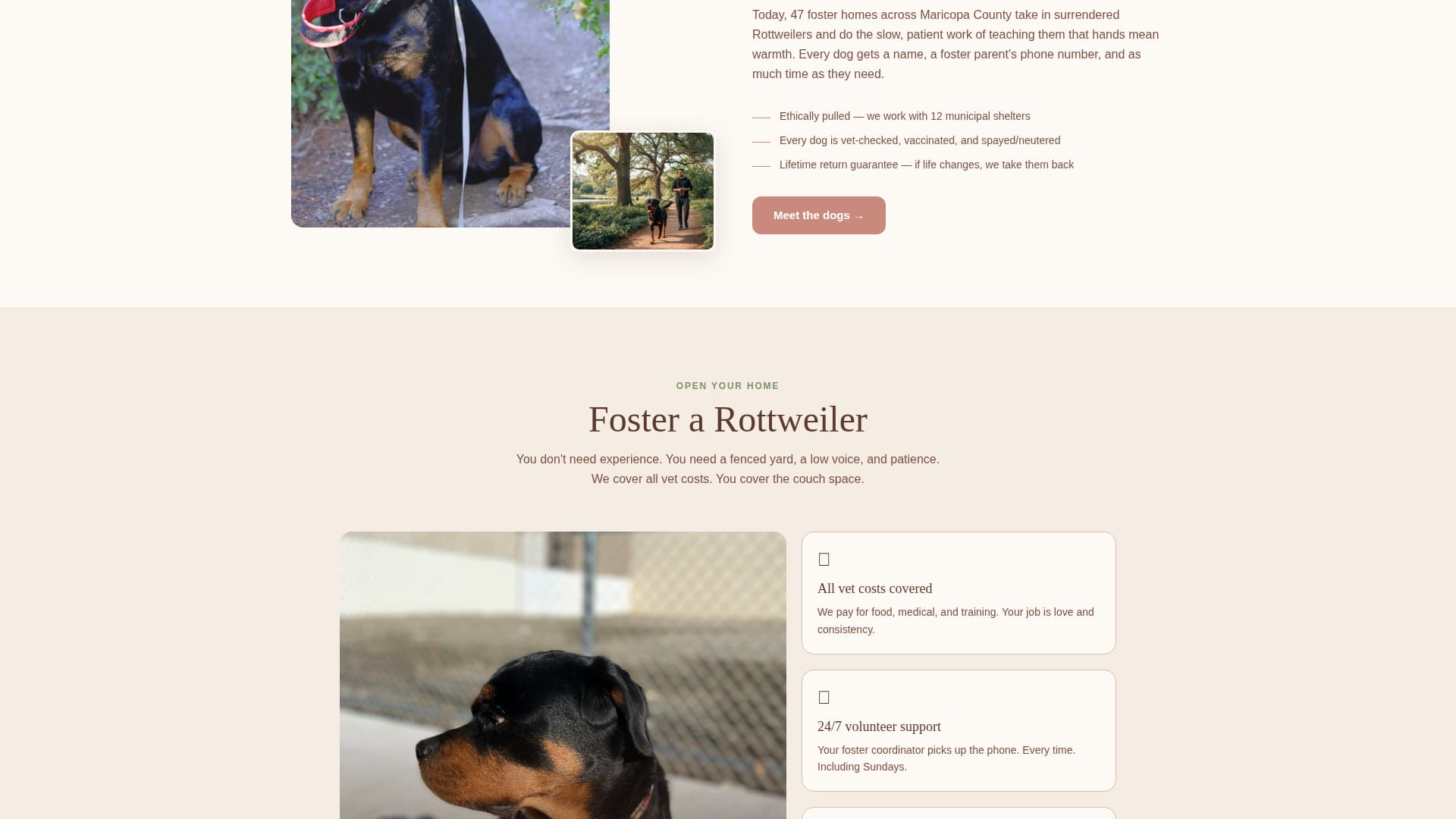 Rescuerottie - Heartfelt Adoption Landing Page Template