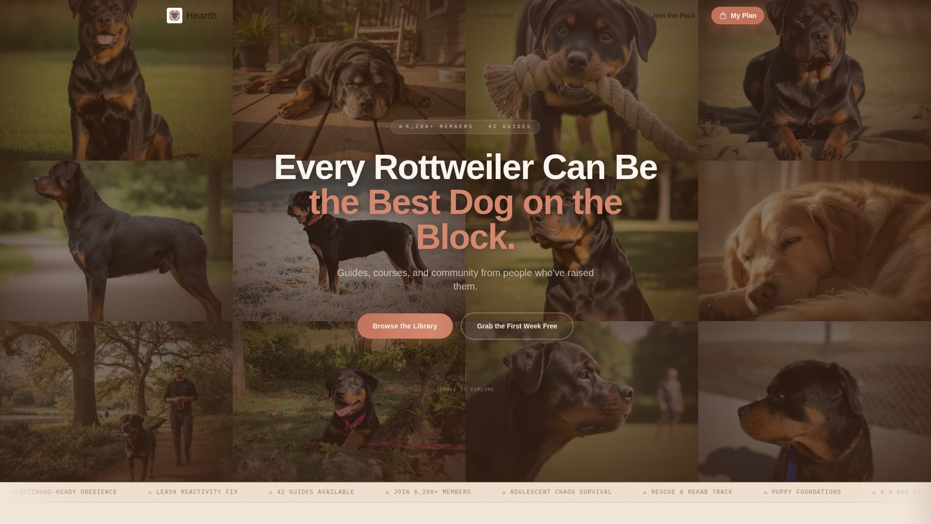 Hearth - Trusted Rottweiler Landing Page Template