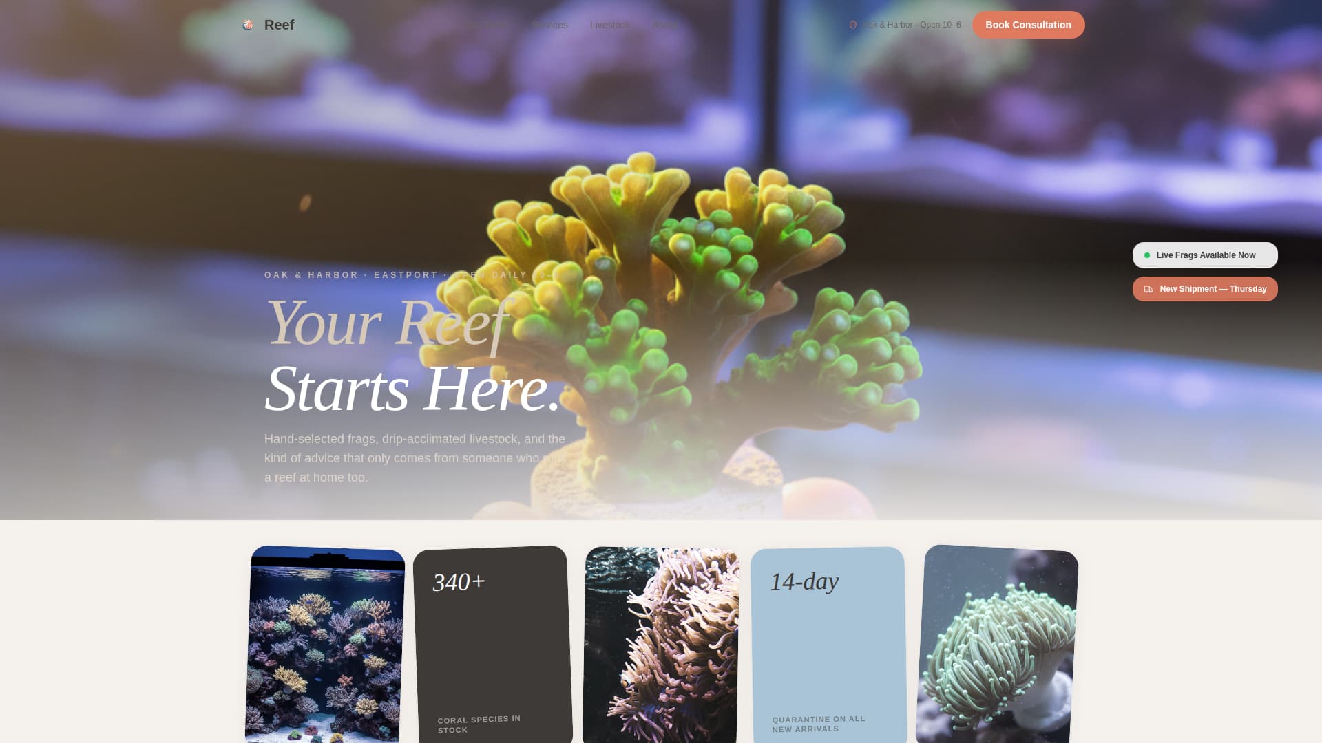 Reef - Artisan Aquarium Landing Page Template