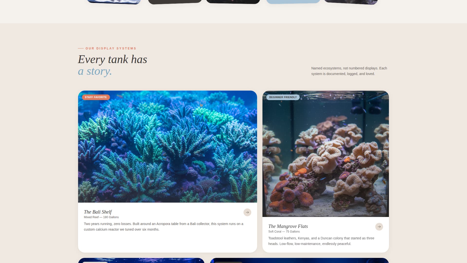 Reef - Artisan Aquarium Landing Page Template