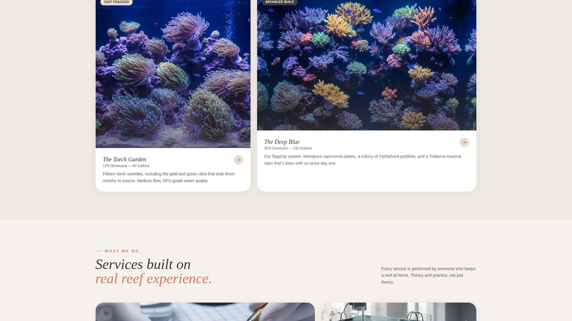 Reef - Artisan Aquarium Landing Page Template