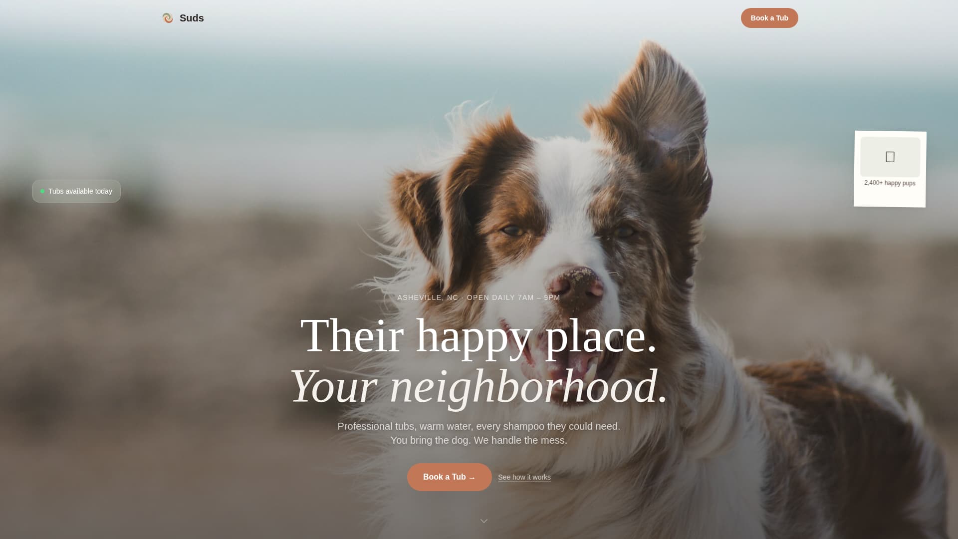 Suds - Joyful Dogwash Landing Page Template