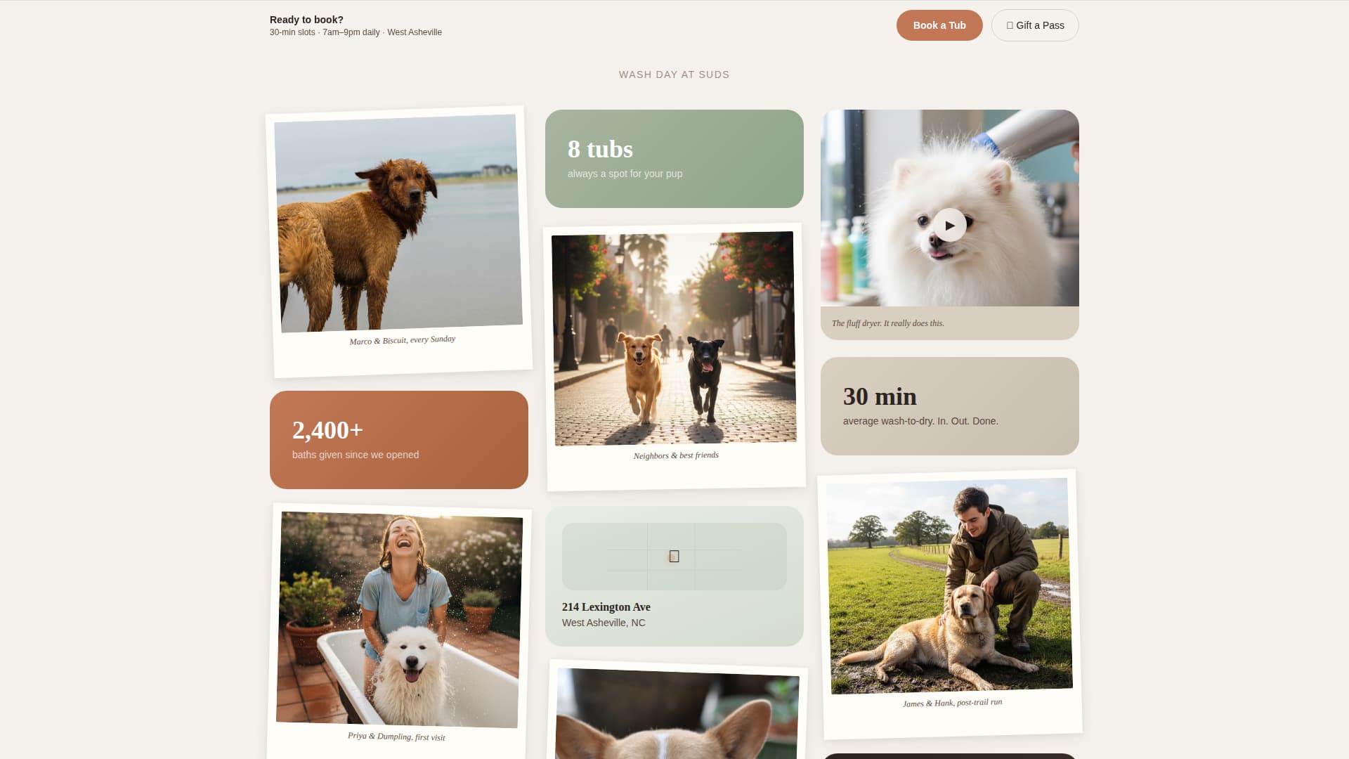 Suds - Joyful Dogwash Landing Page Template