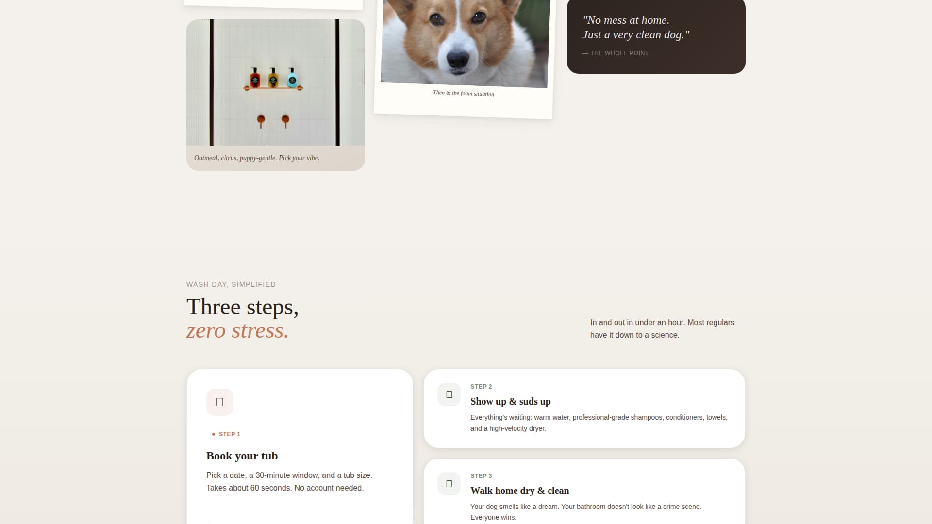 Suds - Joyful Dogwash Landing Page Template