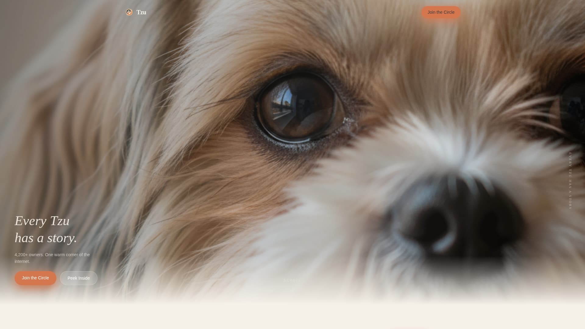 Tzu - Heartwarming Community Landing Page Template