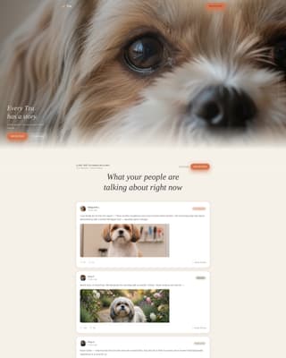 Tzu - Heartwarming Community Landing Page Template