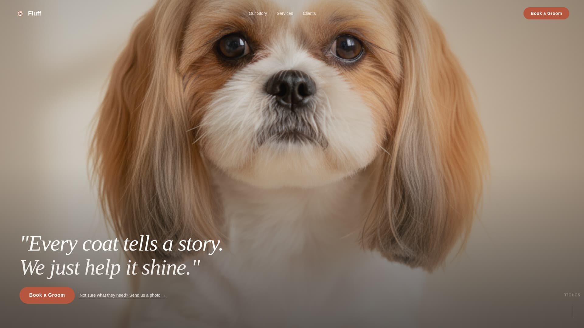 Fluff - Cozy Grooming Landing Page Template