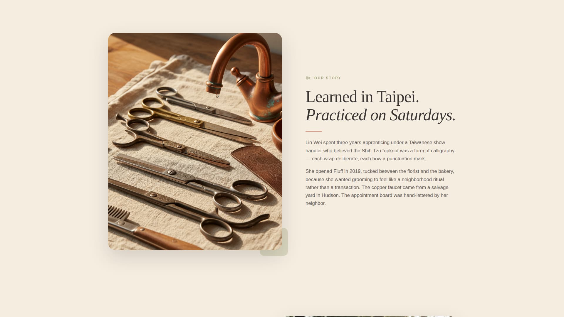 Fluff - Cozy Grooming Landing Page Template
