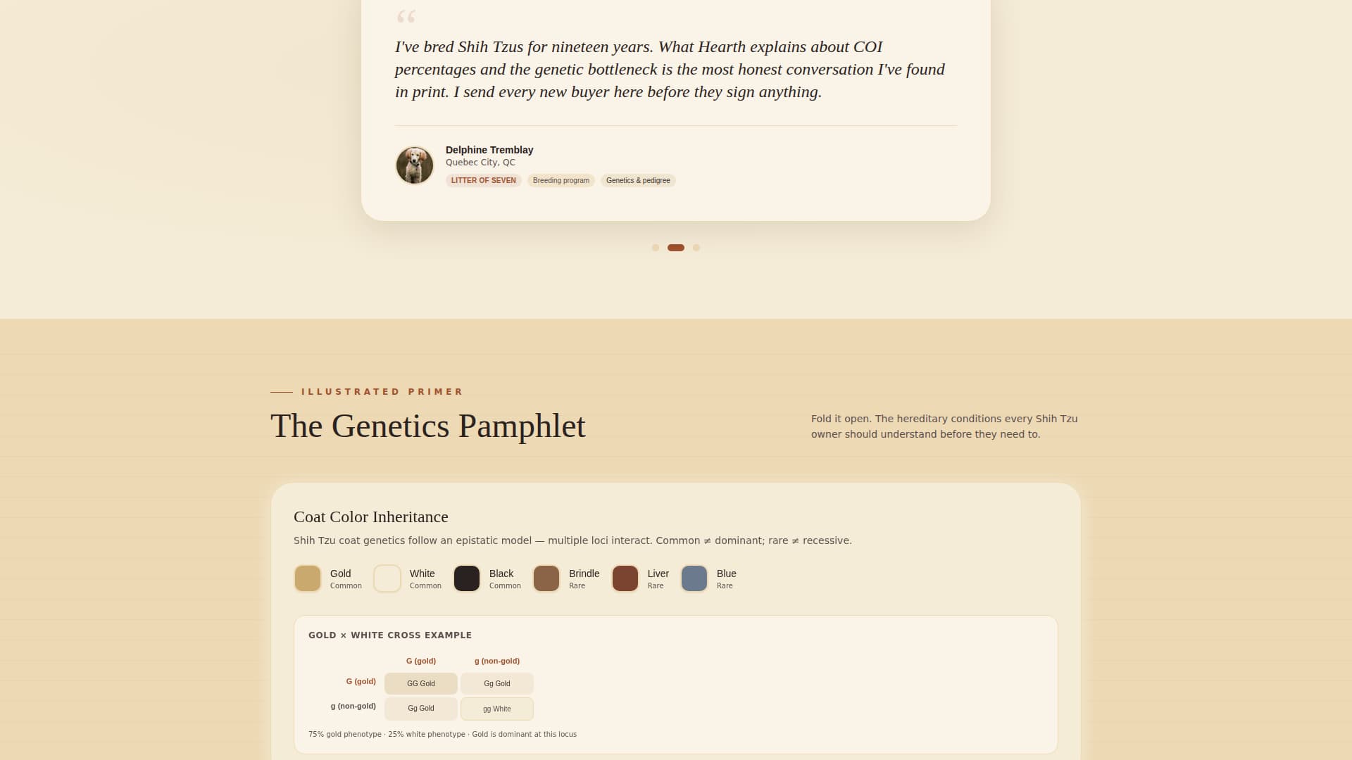 Hearth - Trusted Shihtzu Landing Page Template