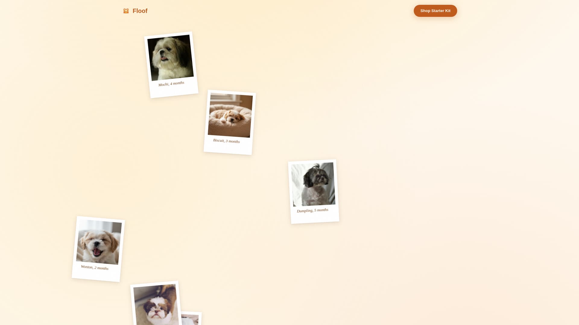 Floof - Artisan Shihtzu Landing Page Template