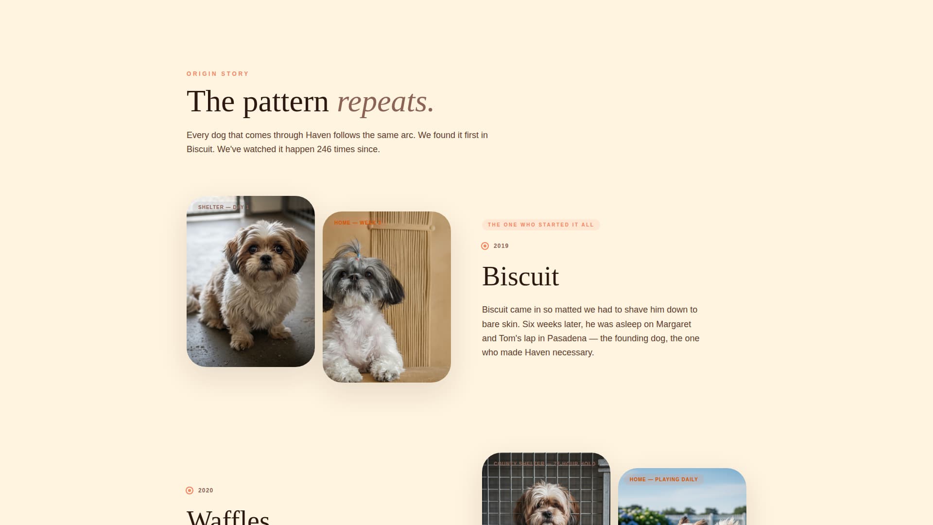 Haven - Heartwarming Rescue Landing Page Template
