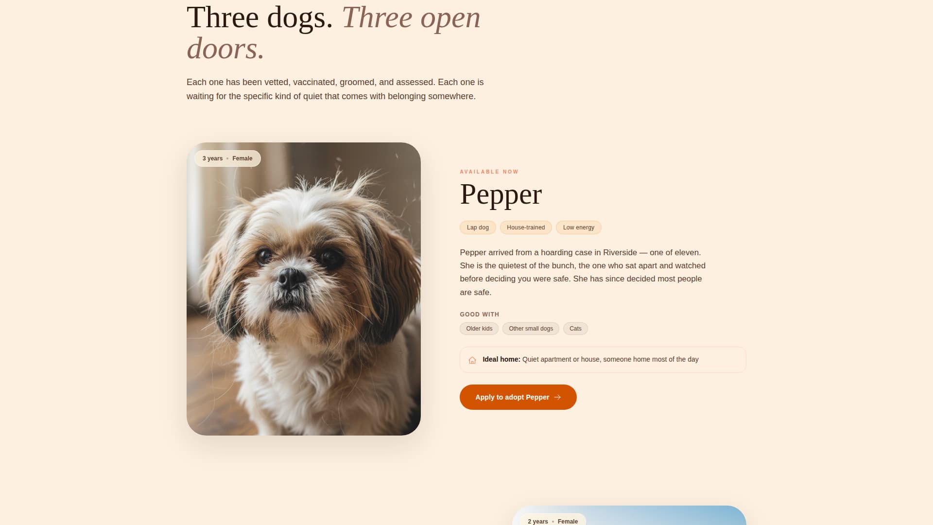 Haven - Heartwarming Rescue Landing Page Template
