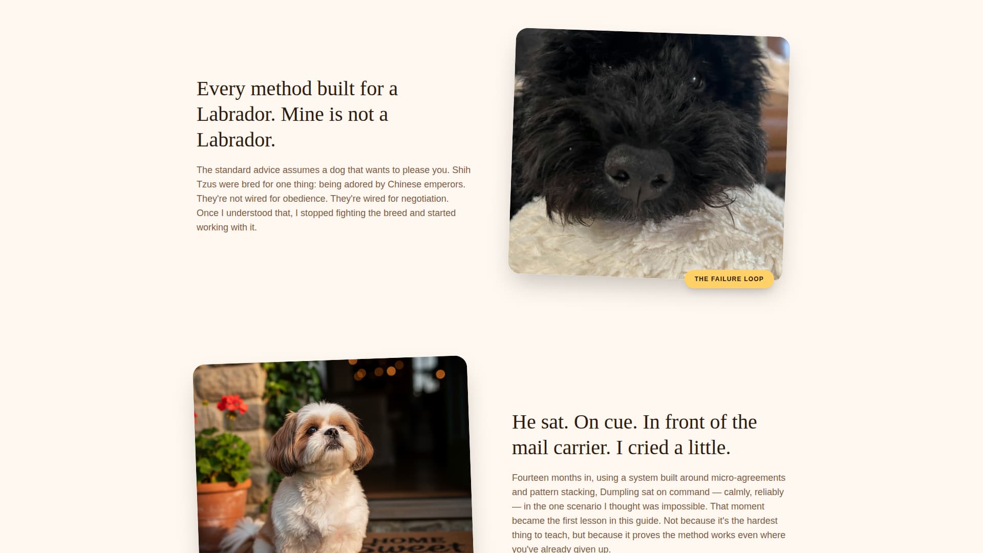 Dumpling - Gentle Pettraining Landing Page Template