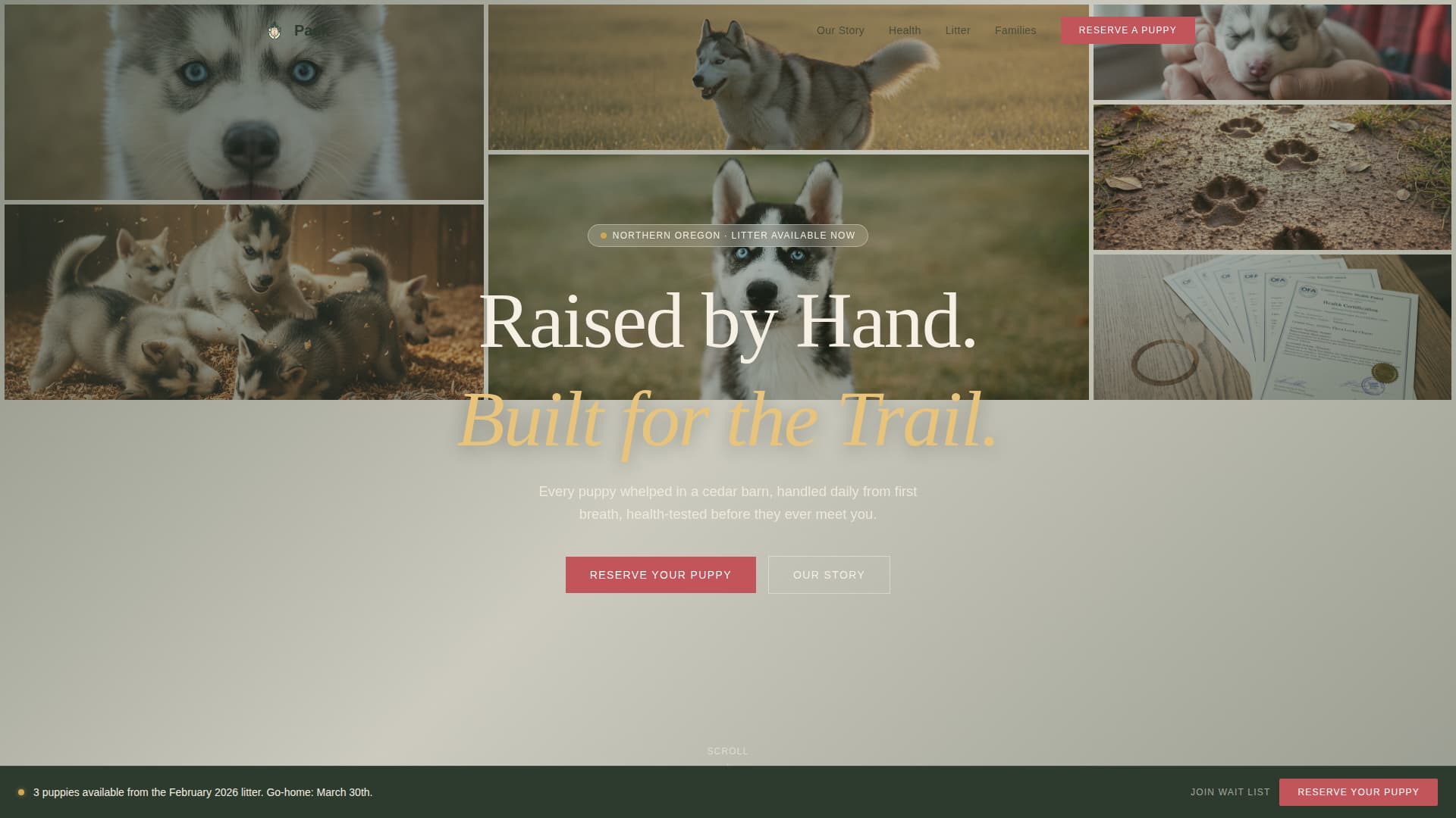 Pack - Artisan Husky Landing Page Template