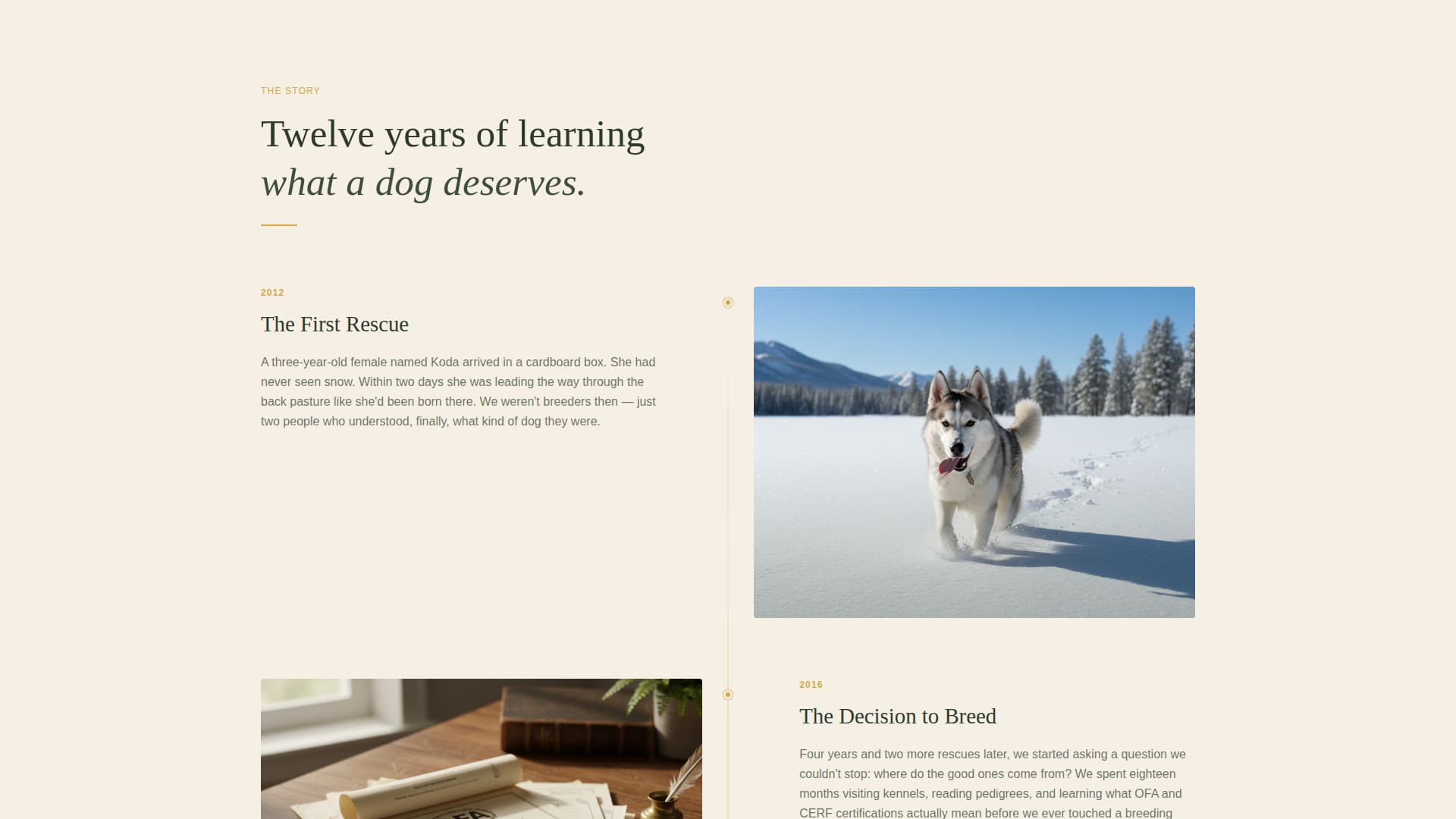 Pack - Artisan Husky Landing Page Template