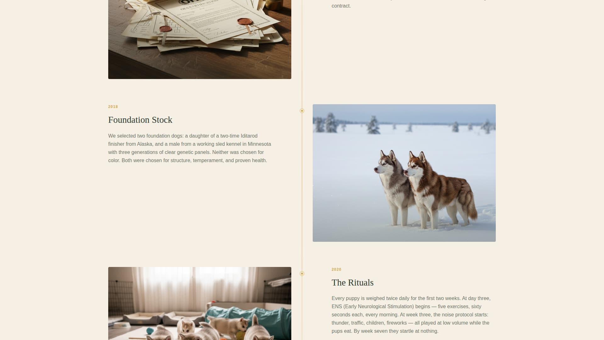 Pack - Artisan Husky Landing Page Template