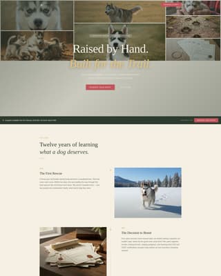 Pack - Artisan Husky Landing Page Template