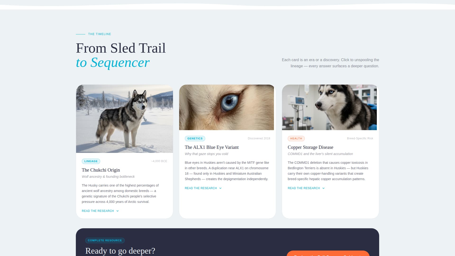 Howl - Captivating Huskygenetics Landing Page Template