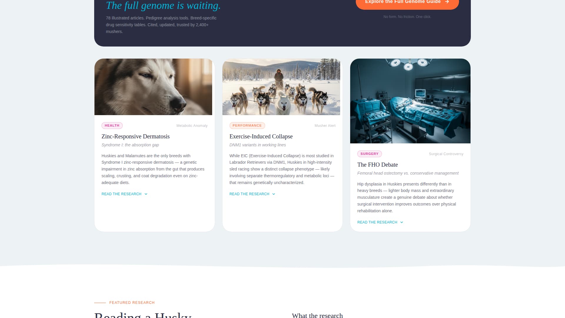 Howl - Captivating Huskygenetics Landing Page Template
