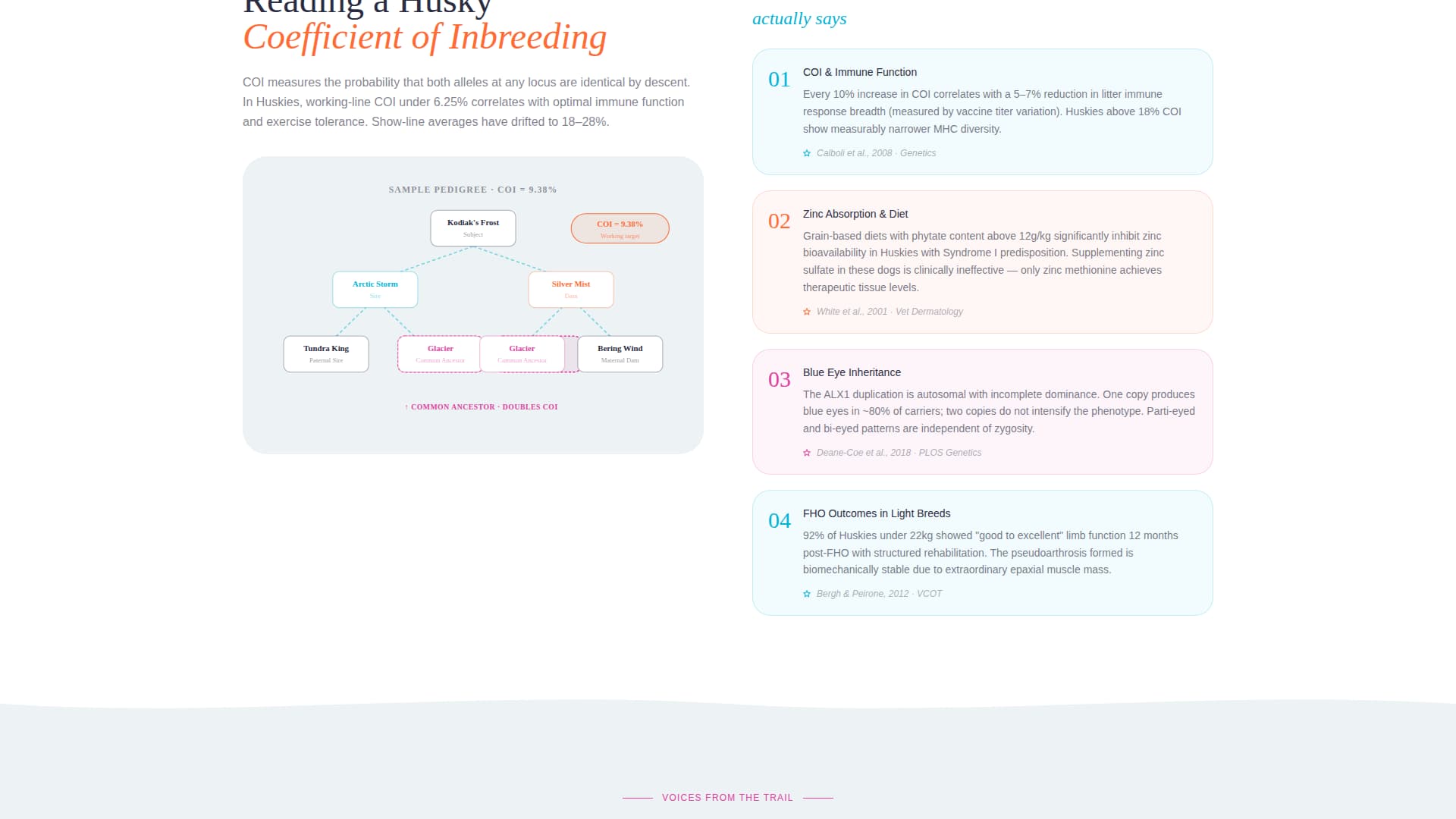 Howl - Captivating Huskygenetics Landing Page Template