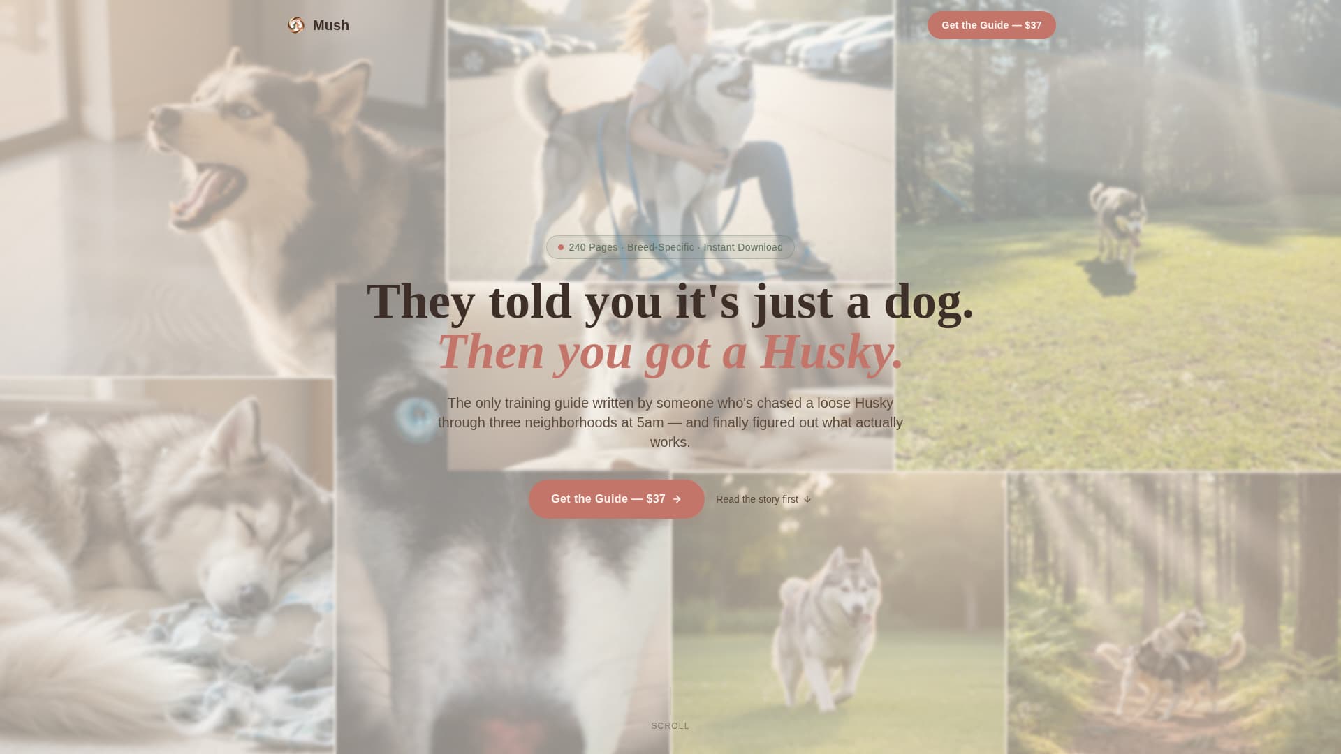 Mush - Proven Husky Landing Page Template