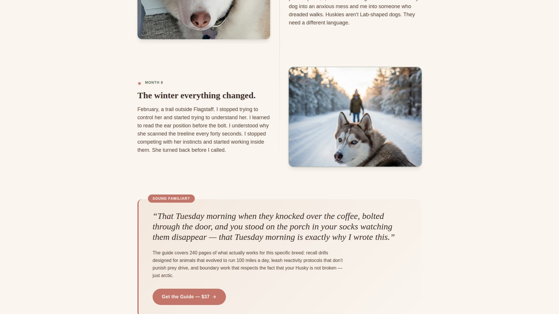 Mush - Proven Husky Landing Page Template