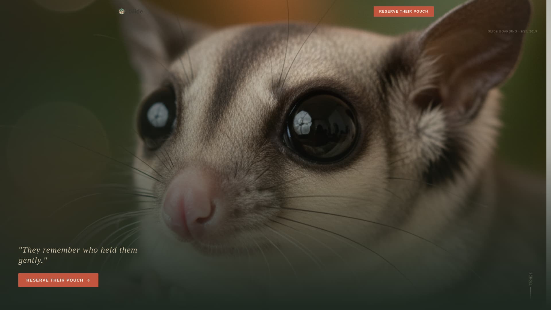 Glide - Trusted Sugarglider Landing Page Template
