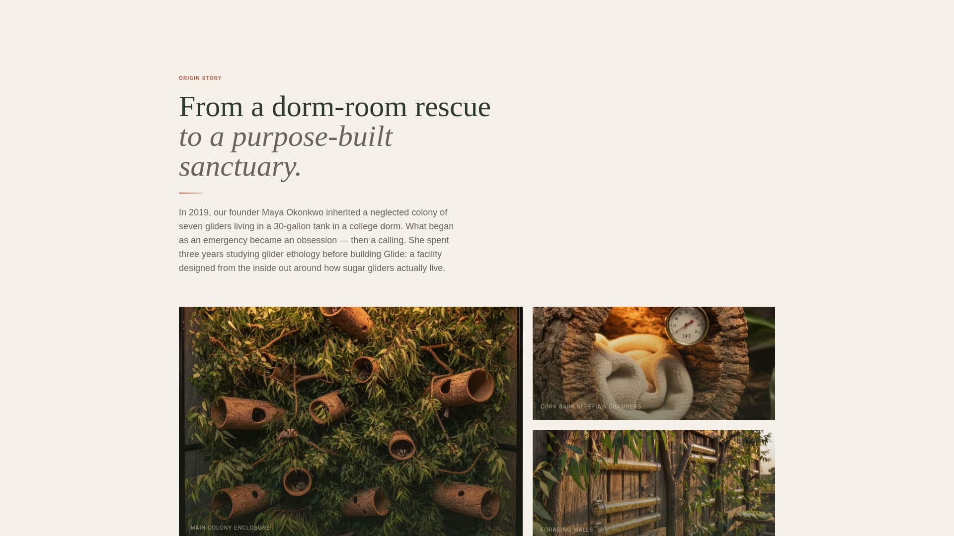 Glide - Trusted Sugarglider Landing Page Template