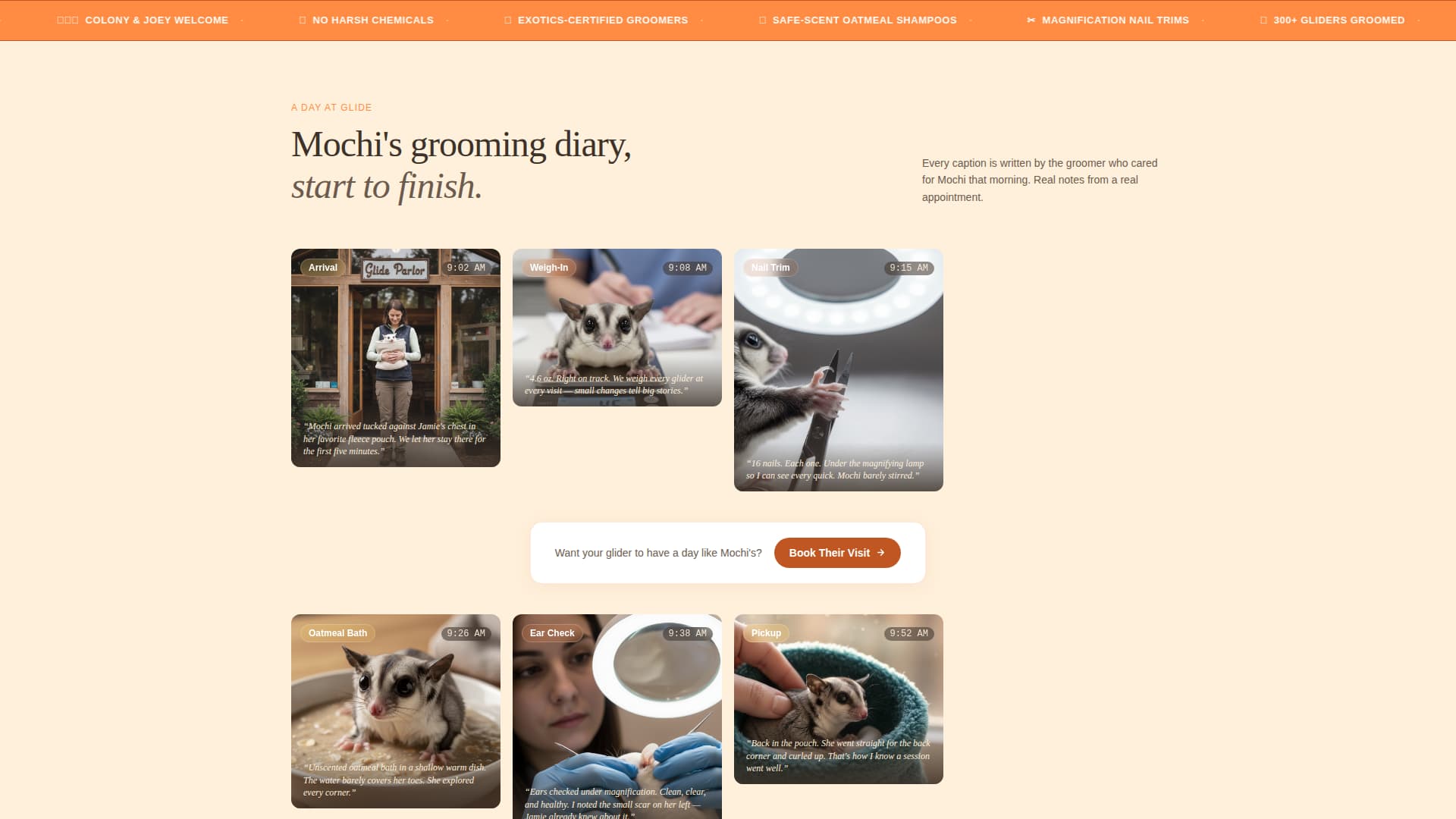 Glide - Trusted Sugarglidergrooming Landing Page Template