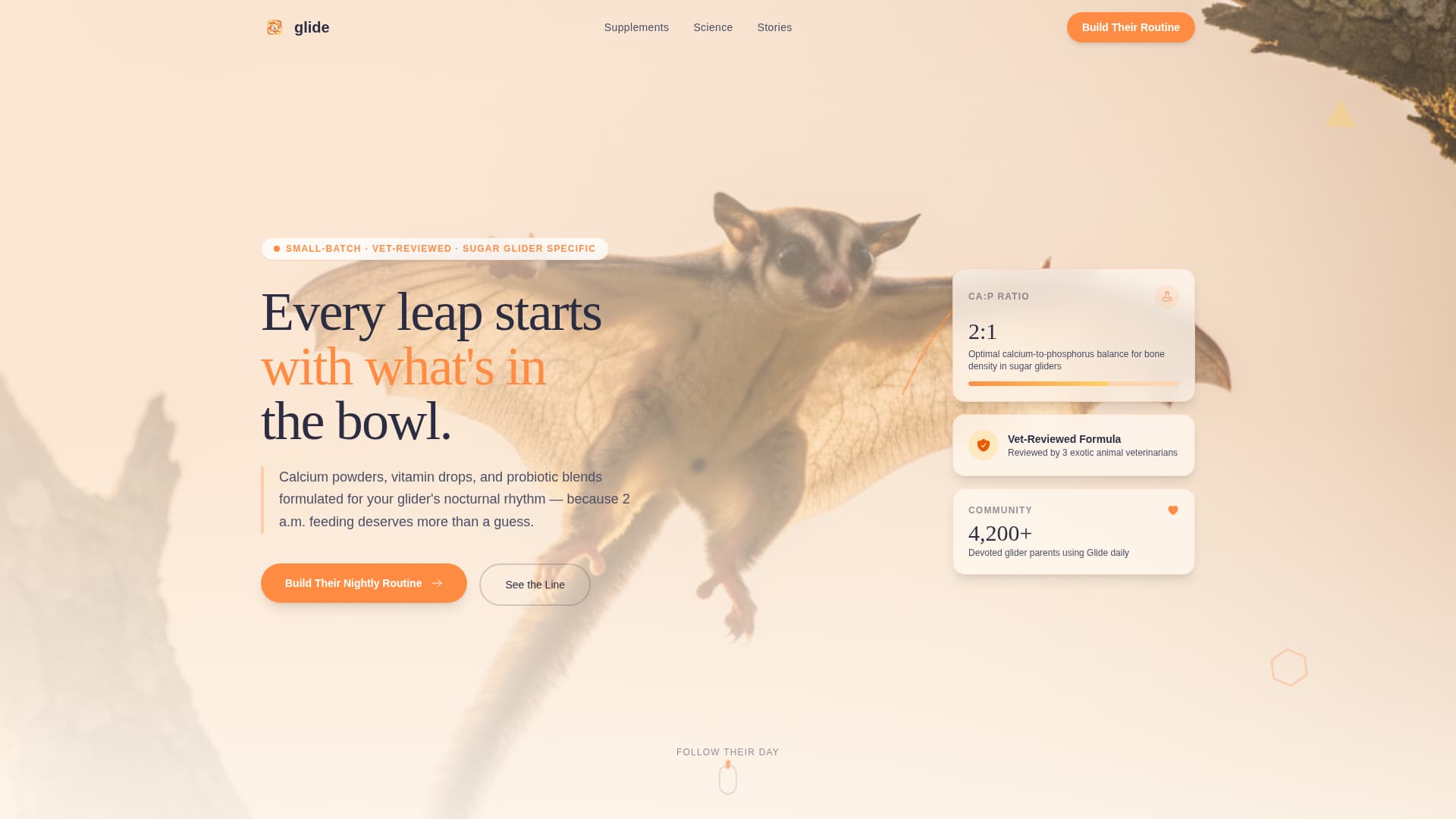 Glide - Vibrant Sugarglider Landing Page Template