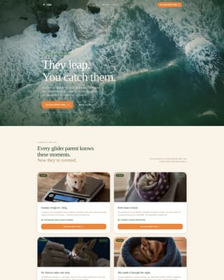 Sugar - Premium Glider Landing Page Template