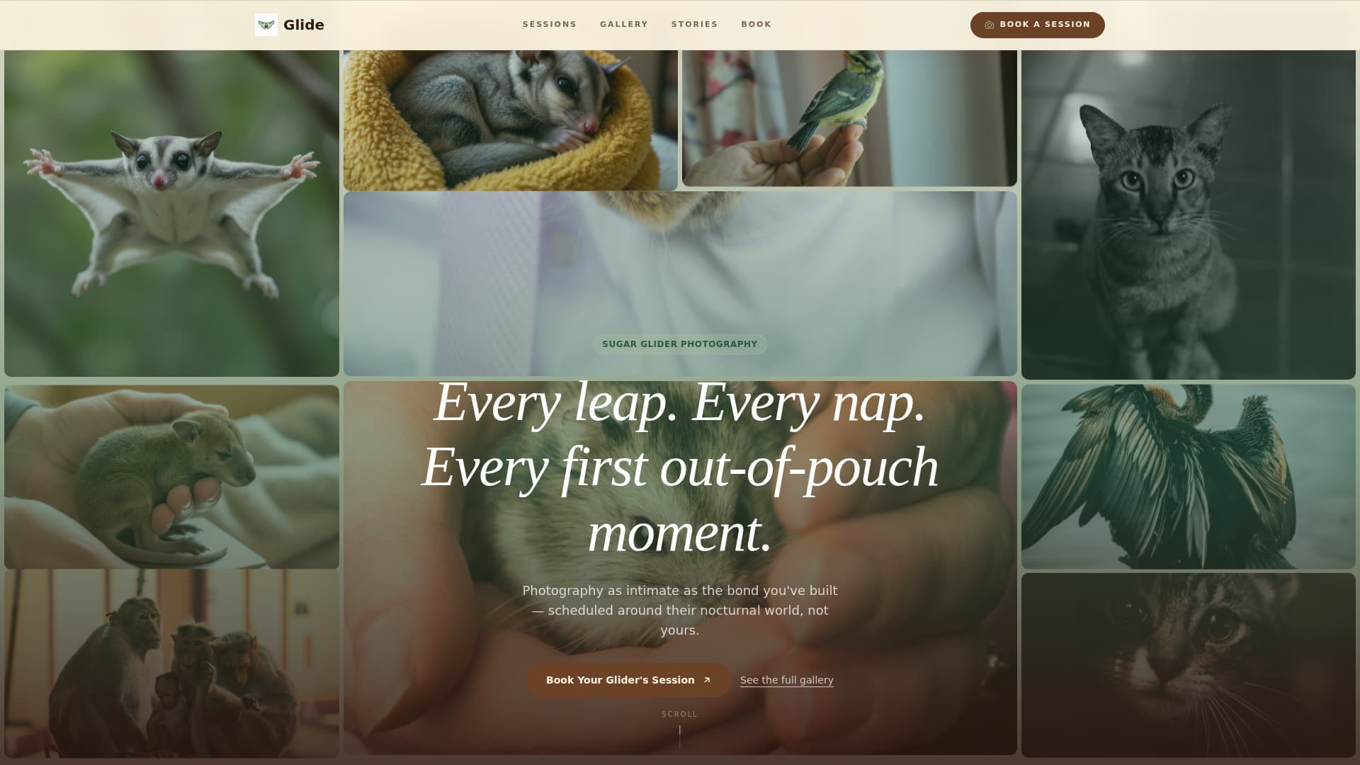 Glide - Heartfelt Sugarglider Landing Page Template