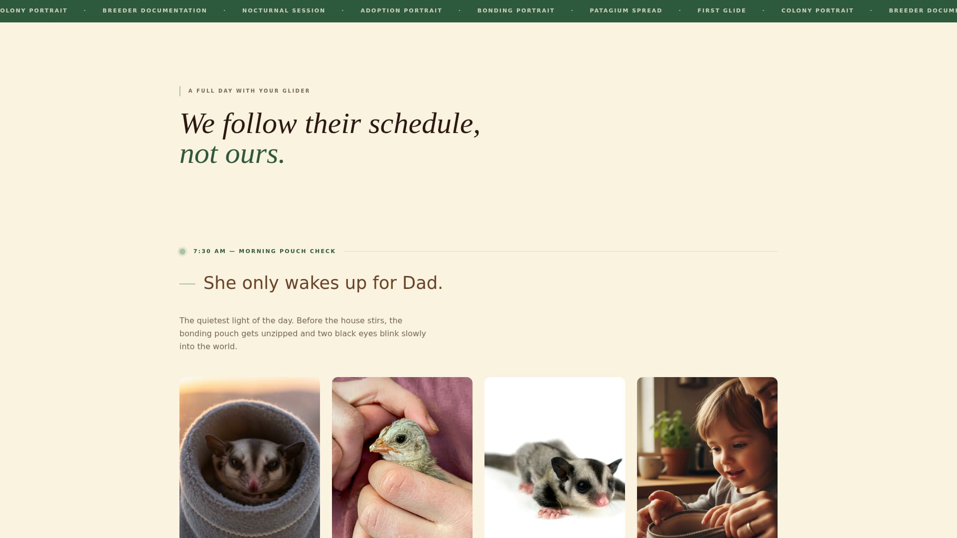 Glide - Heartfelt Sugarglider Landing Page Template