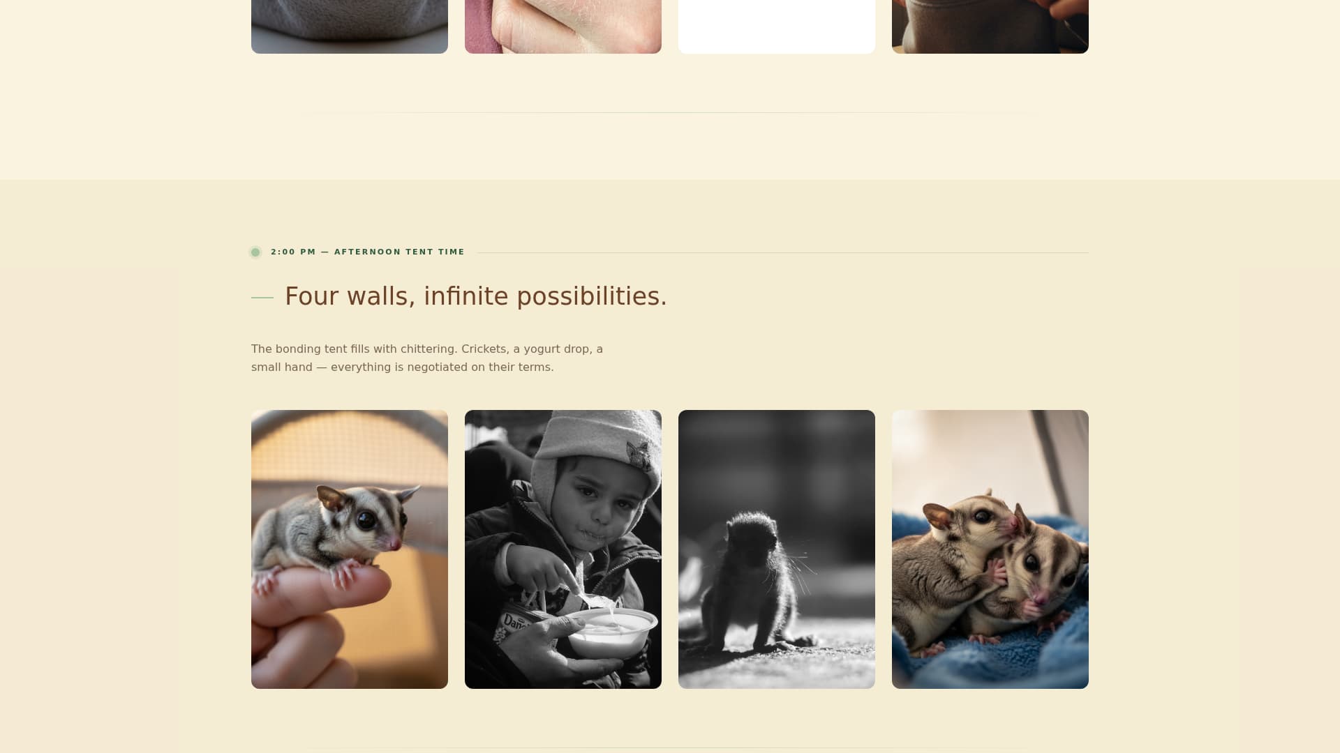 Glide - Heartfelt Sugarglider Landing Page Template