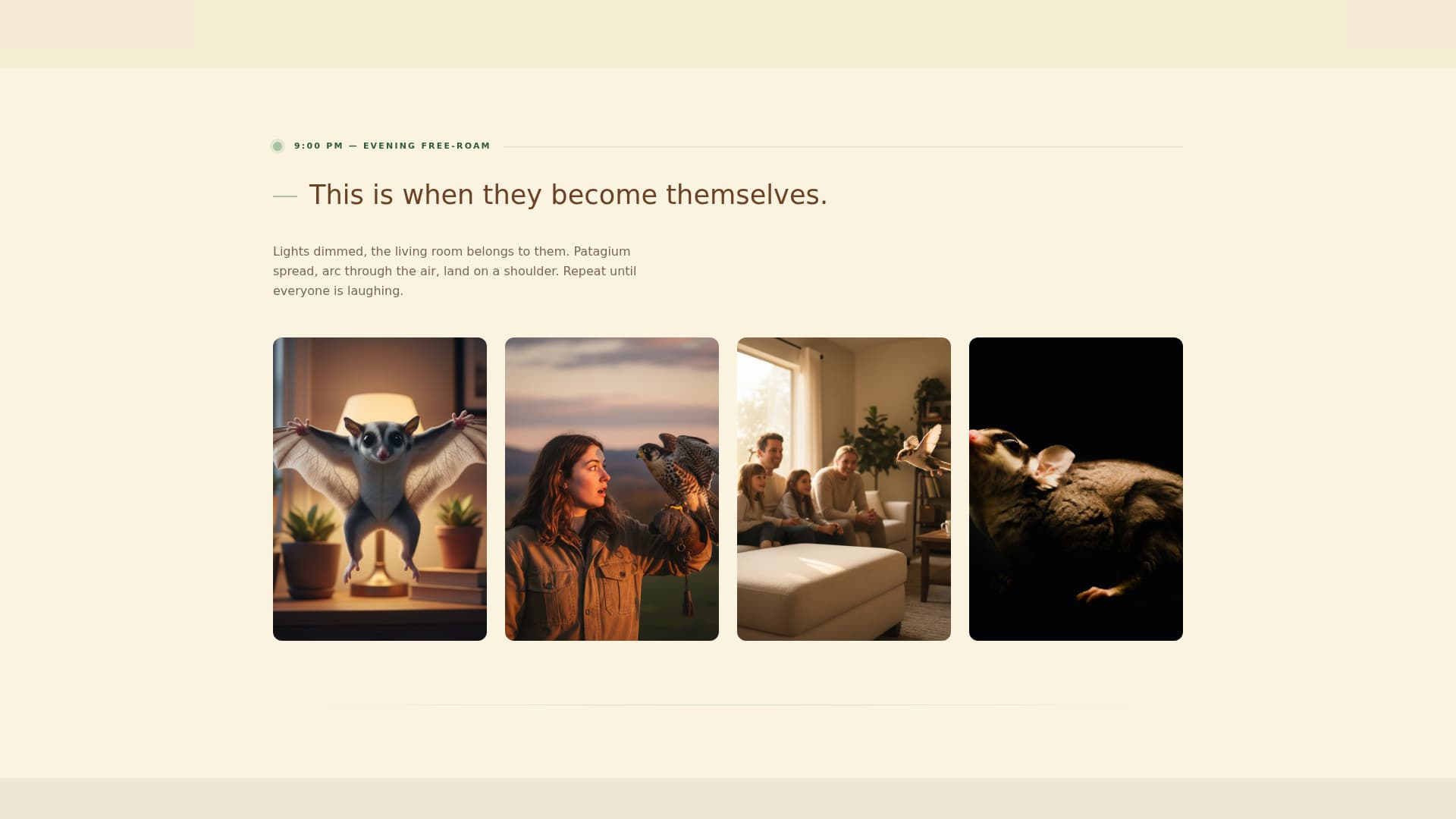 Glide - Heartfelt Sugarglider Landing Page Template